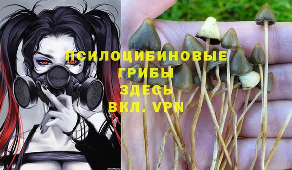 стафф Алексеевка