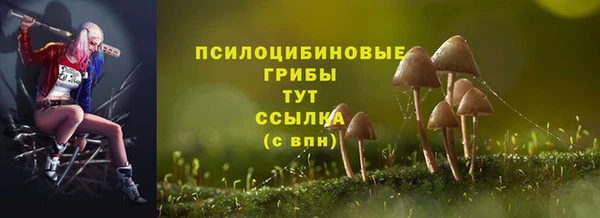 стафф Алексеевка