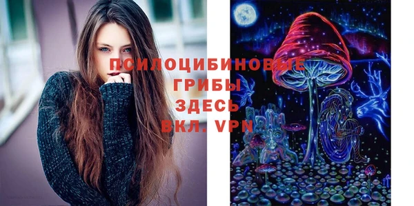гидропоника Алексин