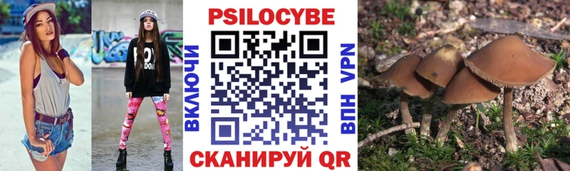 Галлюциногенные грибы GOLDEN TEACHER  Купить где  Богучар 